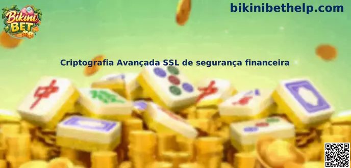 Representação de criptografia avançada SSL de segurança financeira